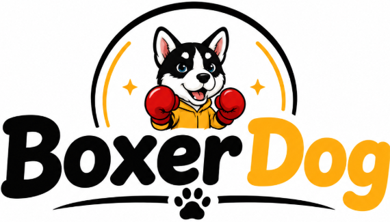 BoxerDog